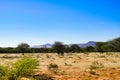 African bush-veld landscape with dry grass and acacia trees and purple mountains behind at Okonjima Nature Reserve, Namibia