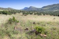 African bushveld with mountain ridge on a hot summer`s day - Hot