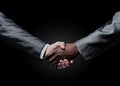 African businessman`s hand shaking white businessman`s hand.