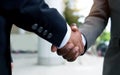 African businessman's hand shaking white businessman's hand Royalty Free Stock Photo