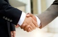 African businessman's hand shaking white businessman's hand Royalty Free Stock Photo