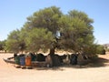 African camp site