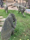 African carved wildlife art