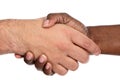 African and caucasian male shaking hands