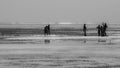 African children playing in the ocean