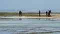 African children playing in the ocean