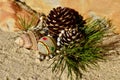 Pine cone African beaded Christmas decorations on the beach Christmas in July
