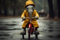 Young circus Elephant riding a bike in the clouds Royalty Free Stock Photo