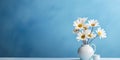 African daisy flowers in vase on white wooden coffee table against dirty blue wall background. Interior design of room Royalty Free Stock Photo