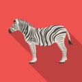 African, desert zebra. Wild cloven-hoofed animal, zebra single icon in flat style vector symbol stock illustration web.