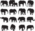 African elephant and asian elephant silhouette contour