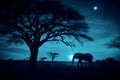African elephant and enormous tree in safari sunset scenery, starry sky wildlife photo