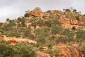 African Elephant grazing at the top of a mountain at Tsavo East National Park in Kenya Royalty Free Stock Photo