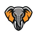 African elephant head mascot logo Royalty Free Stock Photo