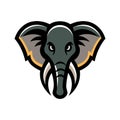 African elephant head mascot logo Royalty Free Stock Photo
