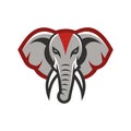 African elephant head mascot logo Royalty Free Stock Photo