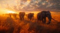 African elephant herd in dawn light, ashraful arefin style, inspired by joel sartore