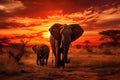 African elephant herd at sunset in Serengeti National Park, Tanzania, African savannah captured at sunset with two elephants Royalty Free Stock Photo