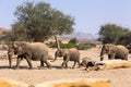 African Elephant desert-adapted elephant mother with calf, walking in dried riverbed, Hoanib desert, Royalty Free Stock Photo