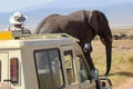 African elephant near a vehicle Royalty Free Stock Photo