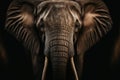 African elephant portrait with long ears, in natural habitat Royalty Free Stock Photo