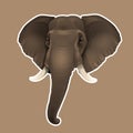 African elephant sticker