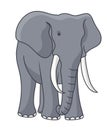 African Elephant vector illustration.Elephant vector stock image Royalty Free Stock Photo