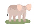 African elephant. Wild animal standing on grass. Exotic jungle mammal. Large tropical herbivore. Africa inhabitant. Flat