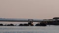 Elephants crossing the Chobe River at Chobe National Park, Botswana. Royalty Free Stock Photo