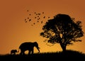 African Elephants Landscape Royalty Free Stock Photo