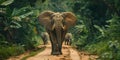 African elephants walking on a dirt road: A young female elephant faces the camera with others Royalty Free Stock Photo