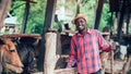 African farm worker farmer man feeding cows with hay and grass  on animal farm. Agriculture and  animal farm concept Royalty Free Stock Photo