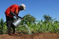 African farmer