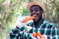 African farmer eating fresh carrots in hands on organic farm.Agriculture or cultivation concept