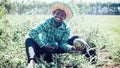 African farmer holding a watermelon in organic farm.Agriculture or cultivation concept Royalty Free Stock Photo