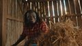 African farmer lifting hay indoors Royalty Free Stock Photo