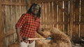 African farmer lifting hay indoors Royalty Free Stock Photo