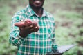 African farmer man holding fresh sweet potato at organic farm with smile and happy.Agriculture or cultivation concept Royalty Free Stock Photo