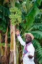 African farmer man standing with banana tree in organic farm.Agriculture or cultivation concept Royalty Free Stock Photo