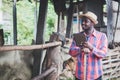 African farmer use tablet for livestock and husbandry control in cattle farm with cows in cowshed.Concept of Agriculture industry Royalty Free Stock Photo