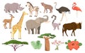 African flora and fauna. African animals, plants, birds and trees. Savanna mammals and vegetation