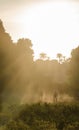 African football game on tropical island Bubaque during sunset with bright light, sun rays and dust, Guinea Bissau Royalty Free Stock Photo