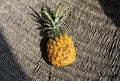 African fresh pineapple Royalty Free Stock Photo
