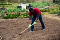 African gardener hoeing soil on vegetable garden Royalty Free Stock Photo