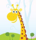 African Giraffe