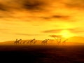 Žirafy na západ slnka 