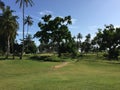 African golf course with palm trees lining the fairway Royalty Free Stock Photo