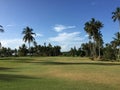 African golf course with palm trees lining the fairway Royalty Free Stock Photo