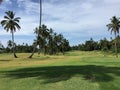 African golf course with palm trees lining the fairway Royalty Free Stock Photo
