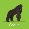 African gorilla illustration design on green background.